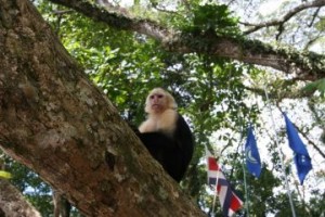 Costa Rica Vacation