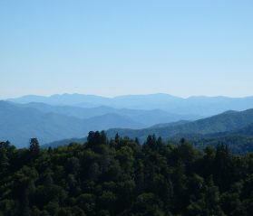 smoky mountains dinner shows tn