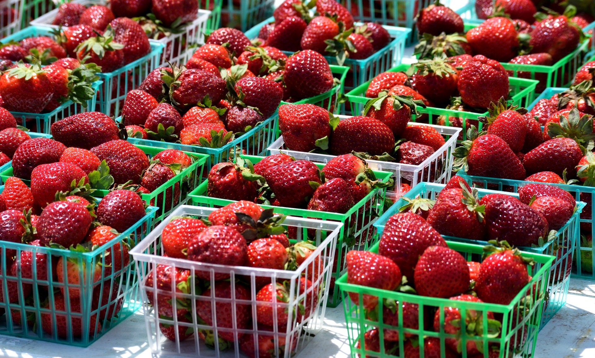 Florida Strawberry Festival Brings Sweet Treats and Family Fun