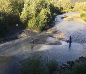 smoky mountain trout tournament itrip vacations