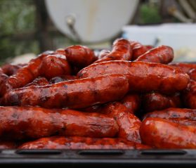 elberta german sausage festival
