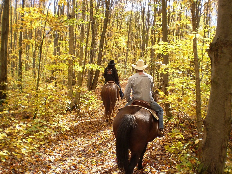 wears valley couples horseback ride