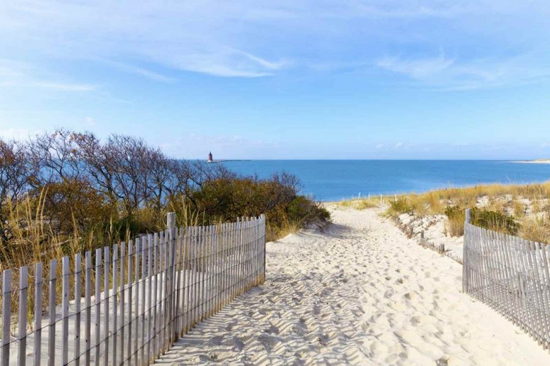 delaware shores sightseeing hiking trails