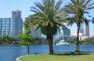 best bets orlando attractions itrip