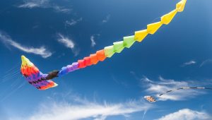 maryland kite expo itrip vacations