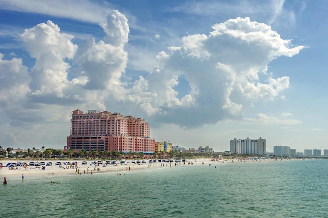 clearwater beach natural attractions