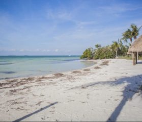 romantic south florida couples itrip vacations