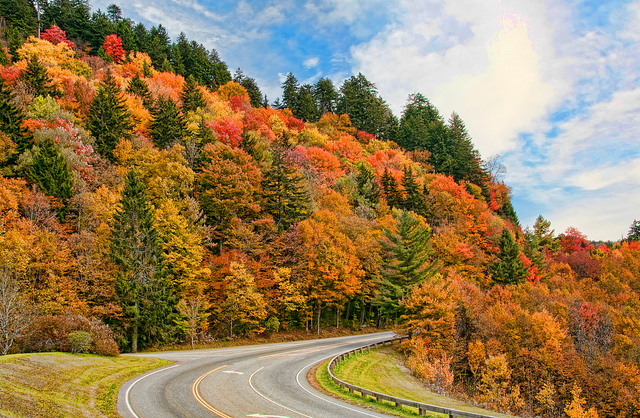 Fall Road Trips US and Canada