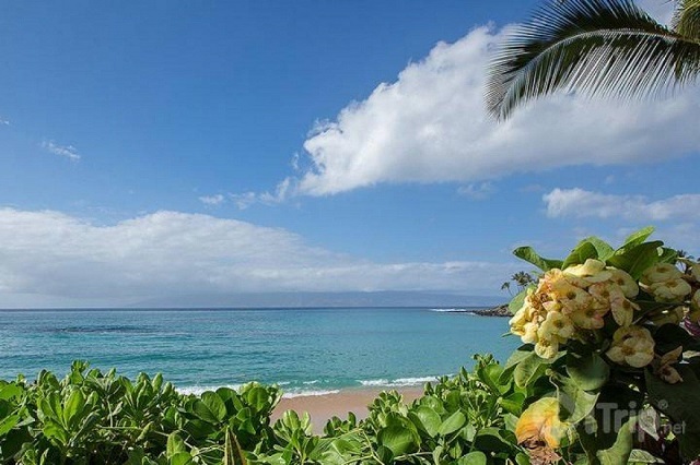 maui vacation guide travel tips