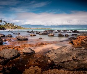maui interesting facts itrip vacations