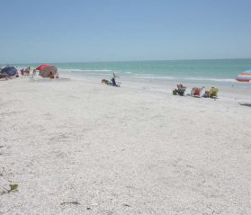 clearwater natural attractions itrip vacations