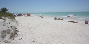 clearwater natural attractions itrip vacations