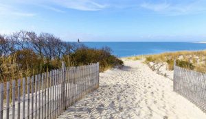 delaware shores sightseeing itrip vacations