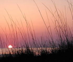 hilton head sunsets itrip vacations