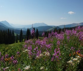 copper mountain summer activities itrip vacations