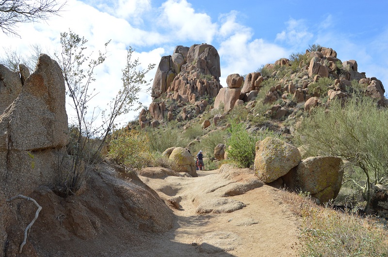 scottsdale parks hiking desert trail
