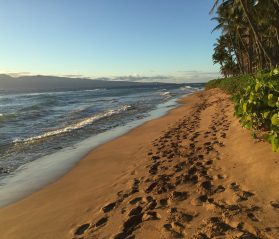 maui full day tours itrip vacations