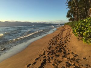 maui full day tours itrip vacations