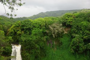 maui tours hana waterfalls