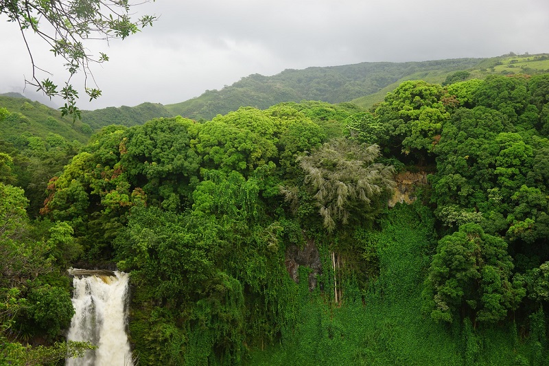 maui full-day tours hana waterfalls