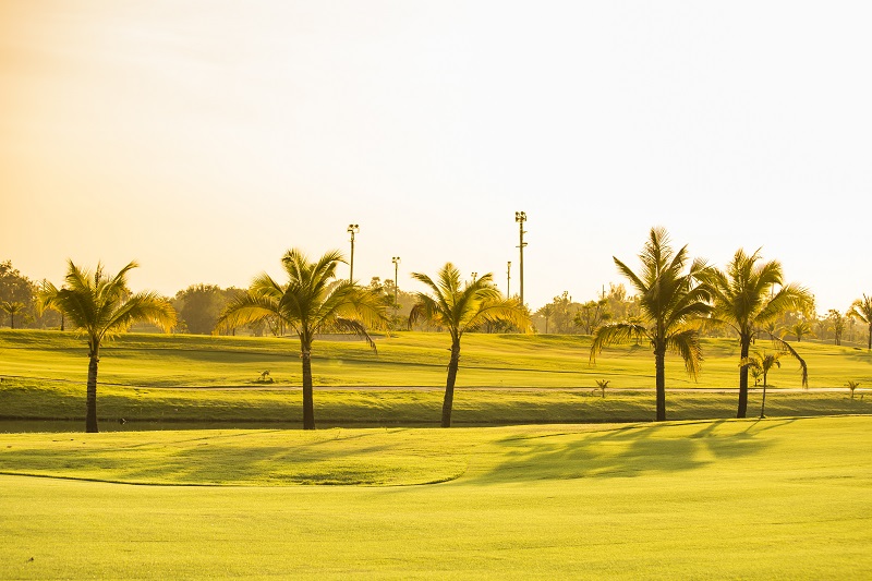 st pete golf courses florida vacation