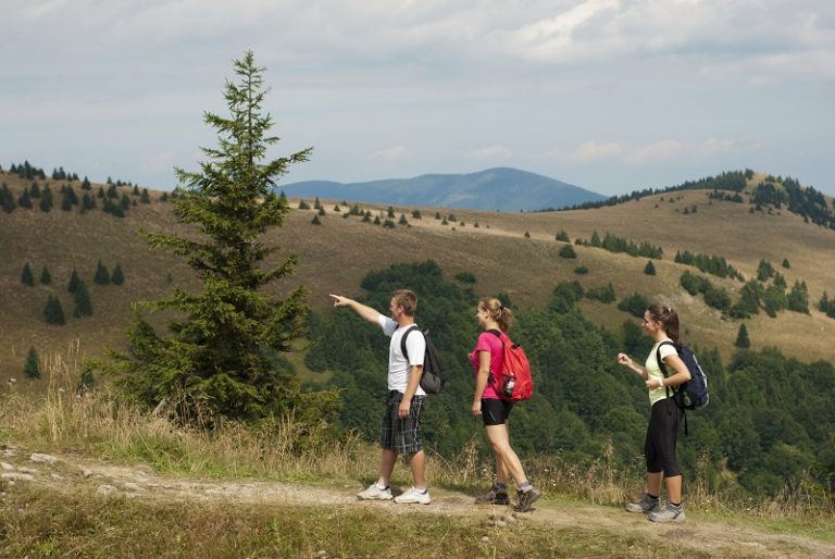 Keystone Hiking Trails 8 Scenic Routes for Views and Wildlife