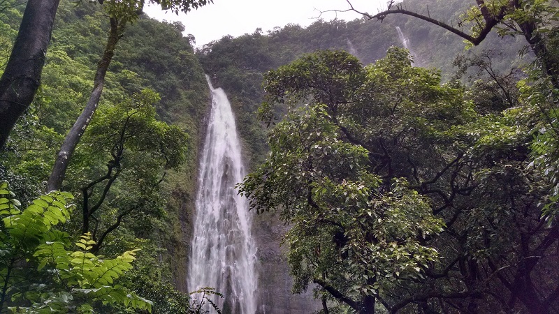 waimoku falls maui hiking waterfalls