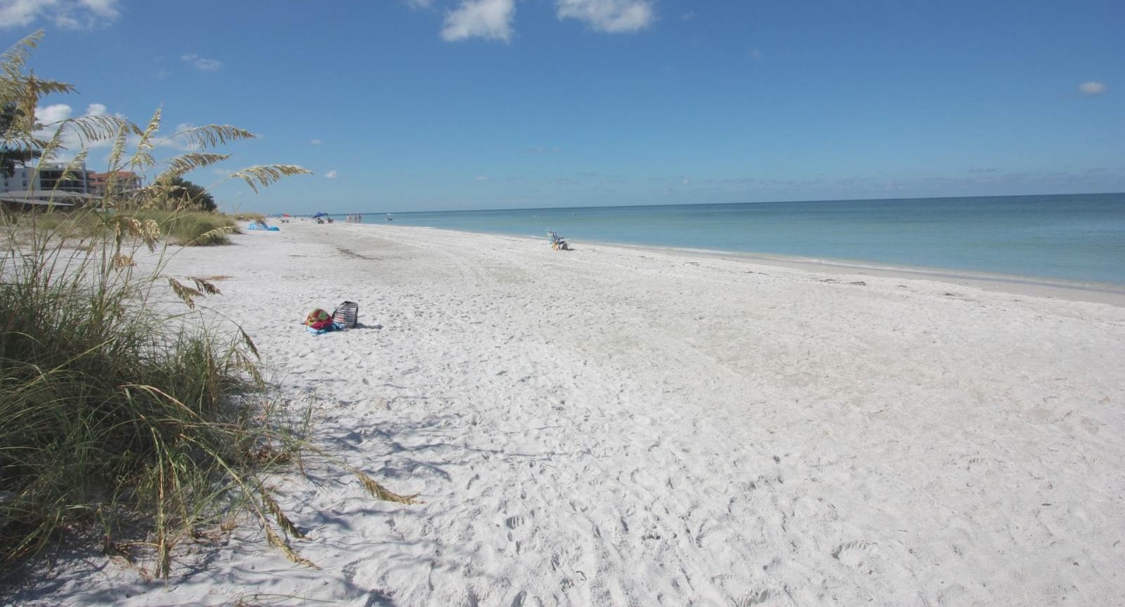 Indian Shores Outdoor Attractions: 7 Musts for Florida Natural Beauty