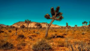 palm springs hiking trails itrip vacations
