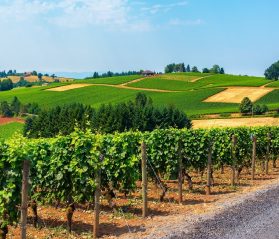 willamette valley guide itrip vacations