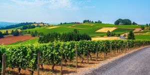 willamette valley guide itrip vacations