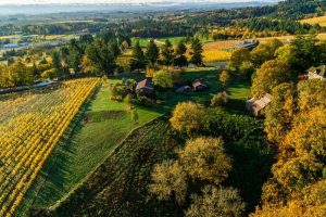 willamette valley guide vacation tips