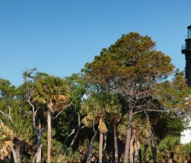 beaufort historic sites itrip vacations
