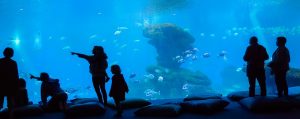 boise family attractions itrip vacations