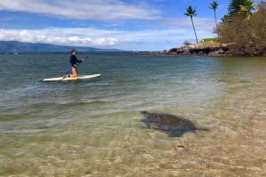 maui cities towns things to do