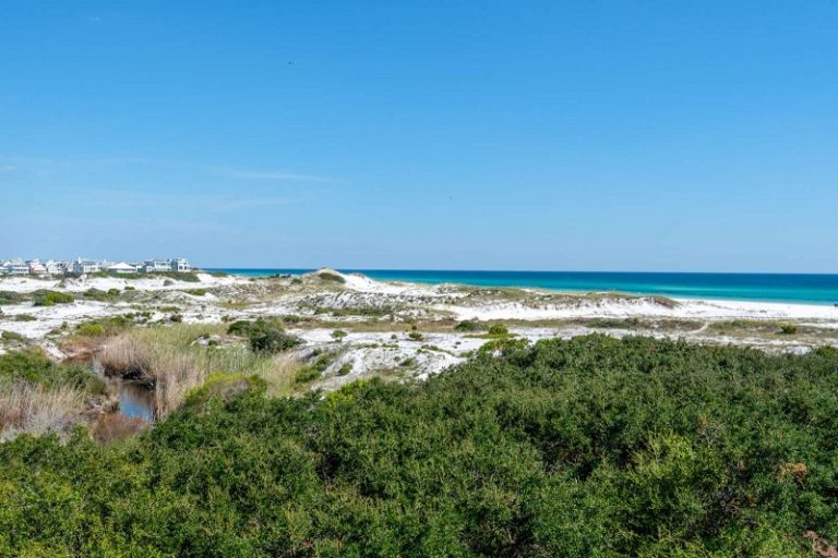 Grayton Beach Guide Meet One of 30As Top Beach Towns