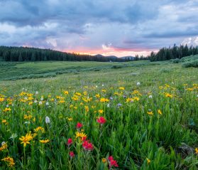 vail hiking trails itrip vacations