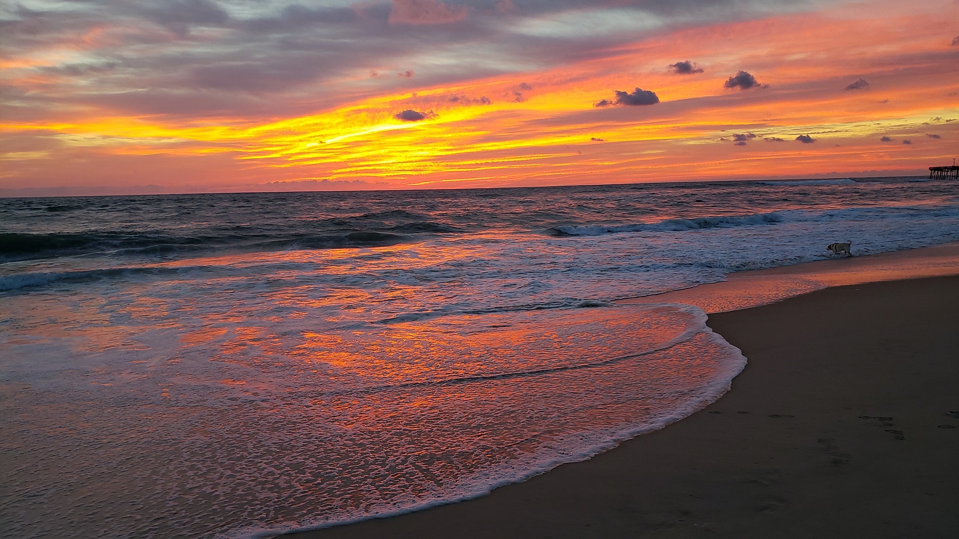 Wilmington Beaches: Best Places Along North Carolina's Coast