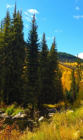 colorado fall events family itrip vacations