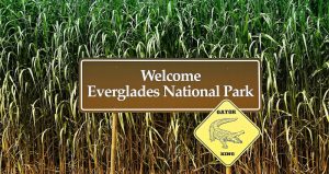 everglades national park guide