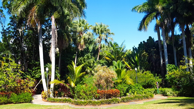 Sunken Gardens St. Petersburg FL