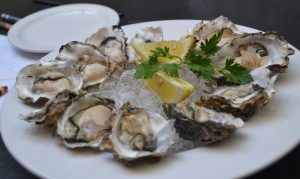 new haven oysters