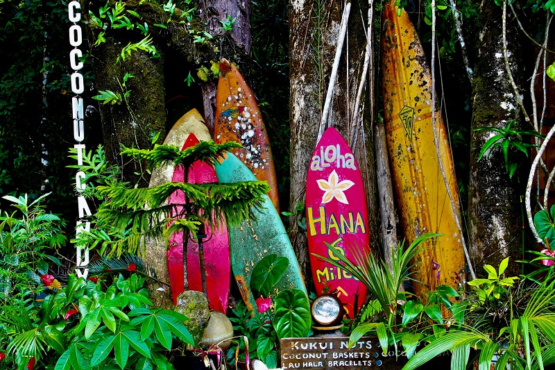 hawaii hana travel