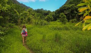 maui sightseeing adventures itrip vacations