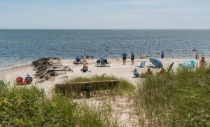outer cape cod beaches itrip vacations