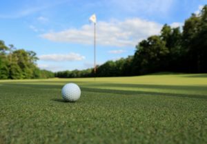 palm harbor outdoor attractions golf