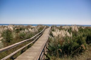 fun on fripp island beaches