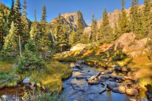 A creek flows through a wooded area with pine trees and mountains in the background.
