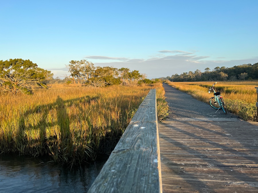 Image of a bike on a trail with boardwalk and sea grass surrounding 