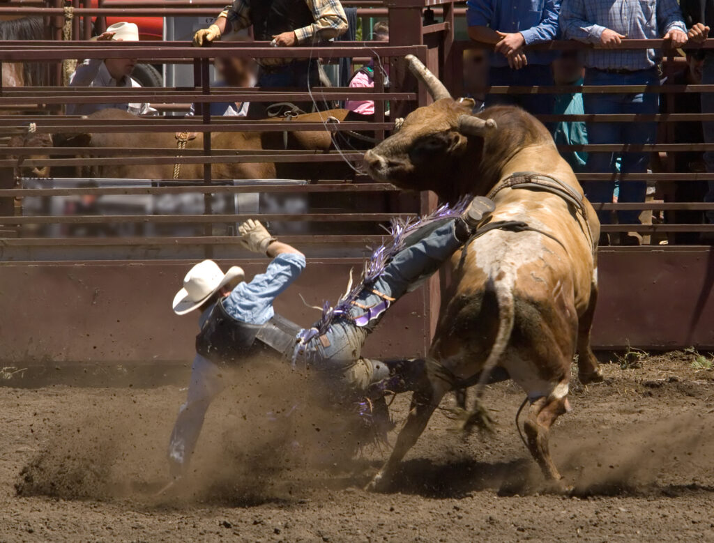 Rodeo in Texas for vacation idea
